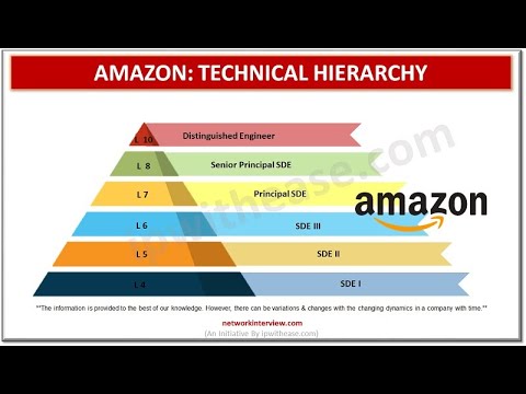 Amazon Technical Hierarchy  #amazon #hierarchy #organizationstructure #ITJobs #careers #jobroles