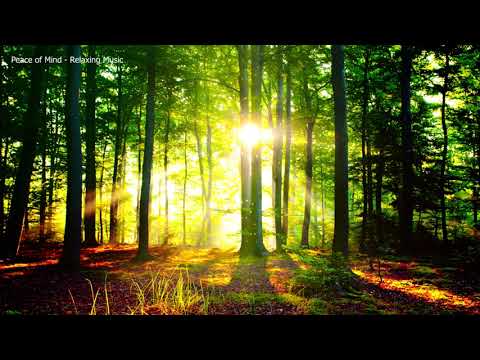 Relaxing Music for Stress Relief l Peaceful Flute Meditation Music l Relaxation Music l Flute Music