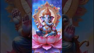 ganapati apa morya #ganeshvisarjan #ganeshji 🙏🌹🌺🌼