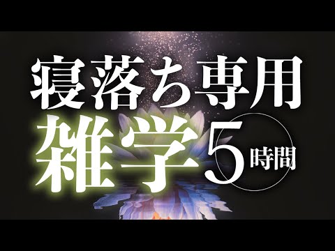 【睡眠導入】寝落ち専用雑学5時間【合成音声】