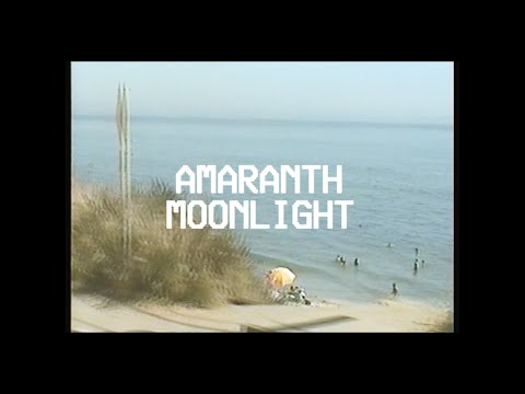 Old Sea Brigade & Luke Sital-Singh - Amaranth Moonlight [Official Music Video]