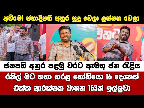 ජනාධිපති උනාට පස්සෙ රනිල් අනුරගෙන් ඉල්ලපු දේ අනුර හෙලි කරයි President Anura First Speech