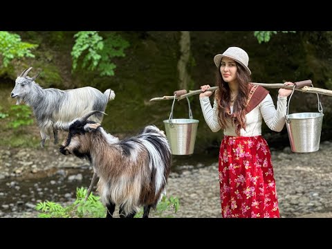 Cooking broth in the nature of the village! Bones Broth ! 🤠🍖🦴