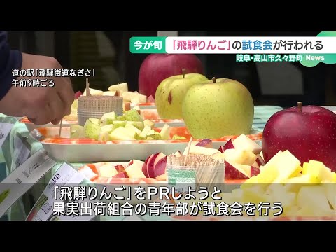 「飛騨りんご」をPR　今が旬のリンゴの試食会　甘さや酸味などそれぞれに特徴　岐阜 (24/11/06 19:00)