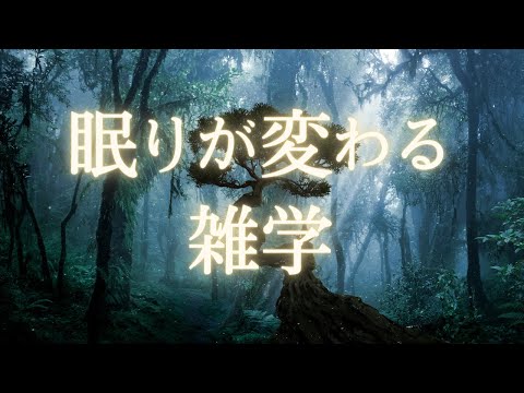 心と体を開放する睡眠導入雑学 | とろけるほど快眠