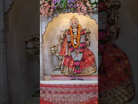 Mata Rani || Vaishno Devi Yatra || Mata Rani Dharshan #Shorts #ytshorts #vaishnodevi