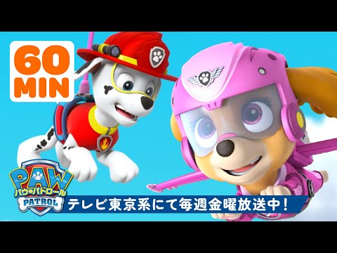 Paw Patrol | パウ・パトロールだって感動しちゃう！💗 60分総集編 | Currently airing on TV Tokyo