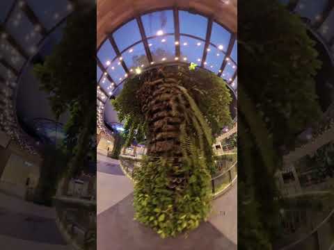 At the Heart of It All: Exploring vista mall! #insta360camera  #insta360x3 #insta360x3shots