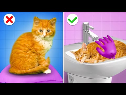 Daddy, Can You Build A Secret House For My Cat? Amazing Gadgets, Funny Moments by Gotcha! Viral