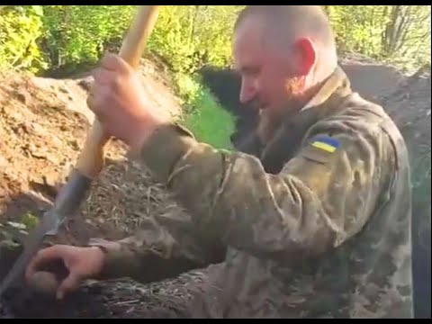 Invincible Ukraine at war: Garden in Trenches