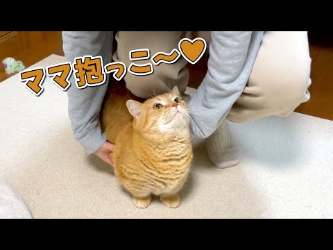 可愛い顔して甘えてくる愛猫のまさかの裏の顔が怖すぎた…