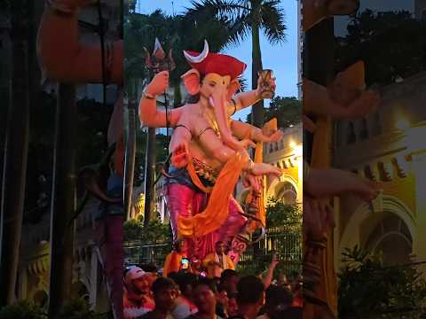 Nare Park 2024 Parel Cha Raja || Aagman sohala #bappaaagman #bappa #shorts #viralshorts #viralreels