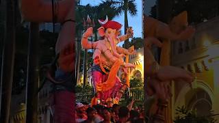 Nare Park 2024 Parel Cha Raja || Aagman sohala #bappaaagman #bappa #shorts #viralshorts #viralreels