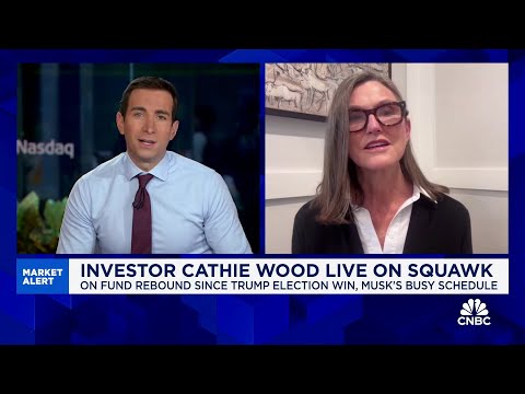 'We have a volatile fund': Cathie Wood responds to criticism about Ark Invest