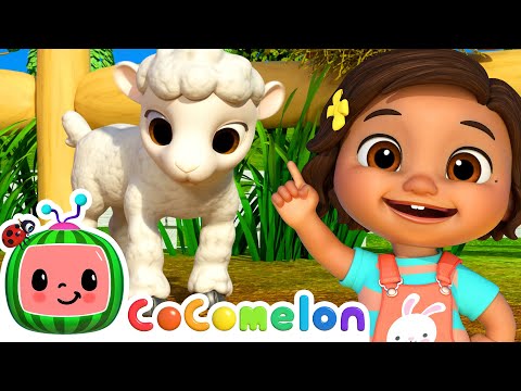 Baby Sheep Dance | with Nina and JJ | Cocomelon Nursery Rhymes for Kids