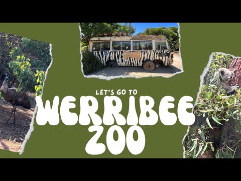 【酷僑專區】跟著海外學生一起環遊世界｜澳洲墨爾本市｜2024｜Werribee Zoo