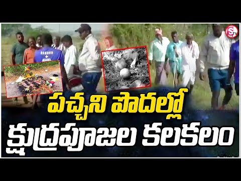 క్షుద్ర పూజల కలకలం.. భయాందోళనలో ప్రజలు | Black Magic | Latest Telugu News | @sumantvwarangal981