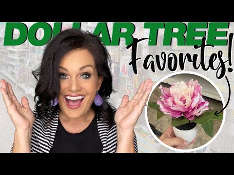 10 Things You Should Always Buy at DOLLAR TREE!