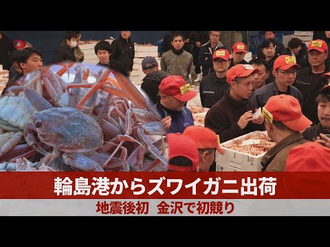 輪島港からズワイガニ出荷 地震後初、金沢で初競り