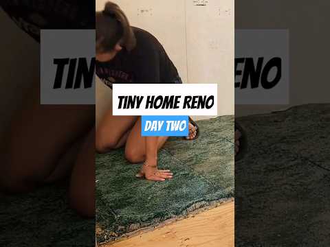 Follow along as we renovate this tiny home at @TheJurgys RV park! #rvpark #tinyhome #tinyhomebuild