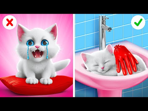 Save This Little Kitten! Fantastic Life Hacks For Pet Owners