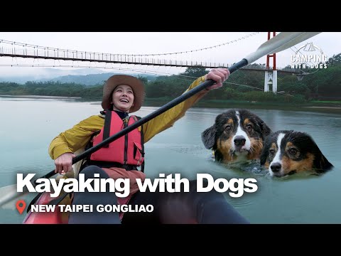 Welcoming Taiwan’s First Light of Dawn | Camping with Dogs