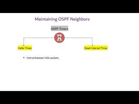 OSPF Hello and Dead interval timer explained