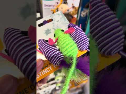 go cat go toy #asmr #trending #viral  #toys #shortvideo #shorts #short #shortsvideo #ytshorts