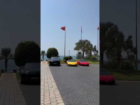 Real Estate in Dubai 🤑