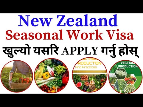 New Zealand Seasonal Work Visa 2024 | HOW To Apply New Zealand Seasonal Work Visa 2024 In Nepal