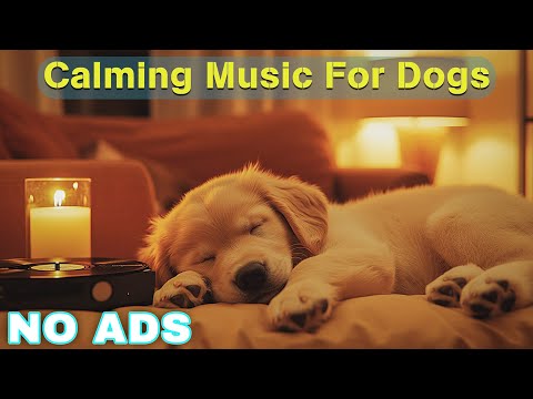 12 Hours of Healing Dog Music 🐶 Soothing Music for Deep Relaxation 🐕 Dog Calming Music No Ads