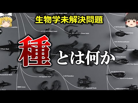 【なぜ人とサルで子供ができない？】種の壁の正体【ゆっくり解説】【雑学】