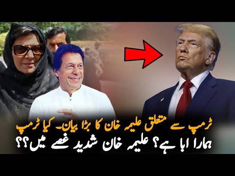 Aleema Khan React On Journalist Talking About Trump, Report | Imran Khan News Report