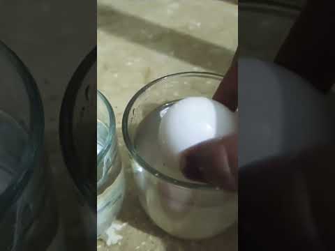 Egg and salt experiment#youtubeshorts#shorts#experiment#saltexperiment#serialexperimentlain