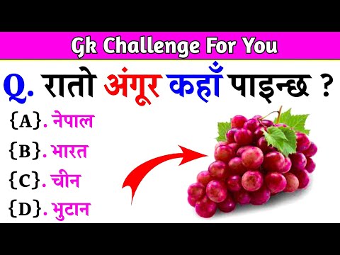 Gk Questions And Answers in Nepali।। Gk Questions।। Part 563।। Current Gk Nepal