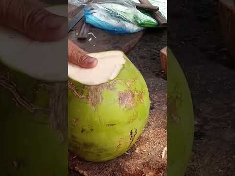 VERY SATISFYING CUTTING COCONUT ASMR #satisfying #streetfood #youtubeshorts @GatchieJr33