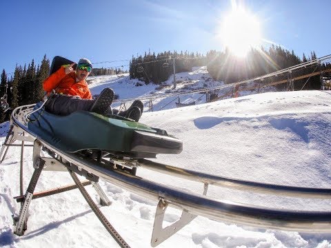 7 Exhilarating Mountain Coasters in Colorado