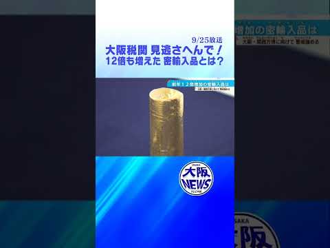 【不正薬物】覚●剤、●麻、金の密輸も急増！大阪税関トンデモ摘発⁉️