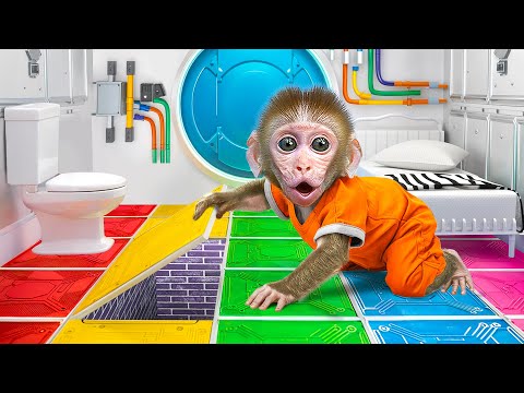 KiKi Monkey escape from World's Hardest Rainbow Prison Maze with Four Elements Trap|KUDO ANIMAL KIKI