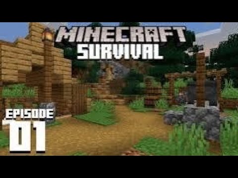 Minecraft : Survival series EP.1 in Hindi || Minecraft Mcpe