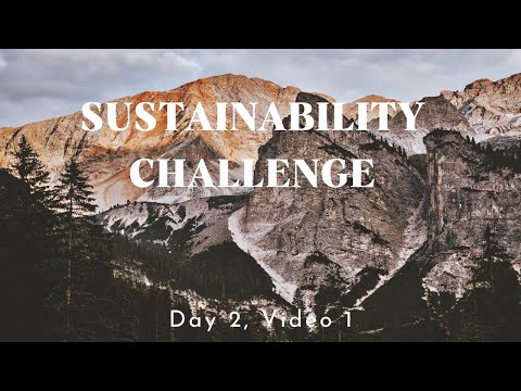 Day 2, Video 1: Evolution of the Carbon Story