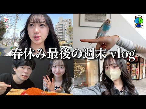 vlog🌶 春休み最後の週末は謎の無味辛餅を食べたｗ【MOMOLOG175】