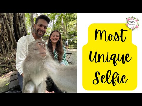 Visiting Bali Monkey Forest || Got The Best Balinese Massage || Day 3