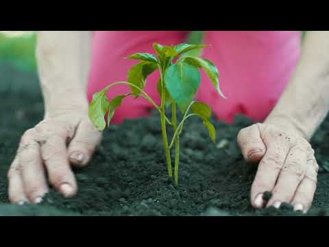 PLANET GREEN CONCEPTUAL FILM