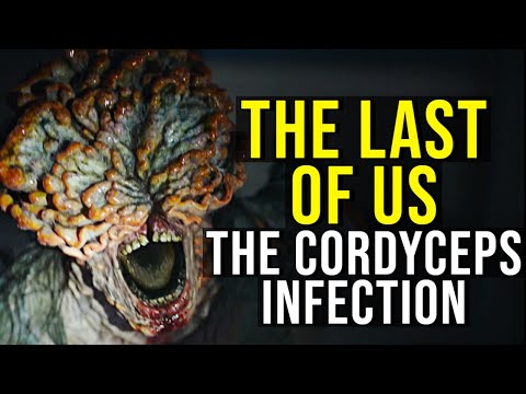 THE LAST OF US (Ophiocordyceps Outbreak, Infected, Factions + Ending) EXPLAINED