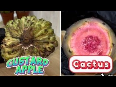 🟢 ASMR Custard apple &  Cactus fruit #fruit #satisfying #nature