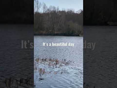 It’s a beautiful day #shorts #viral #shortvideo