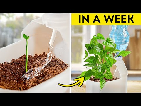 Gardening Hacks: 101 Amazing Ideas for Plant Lovers ☘️