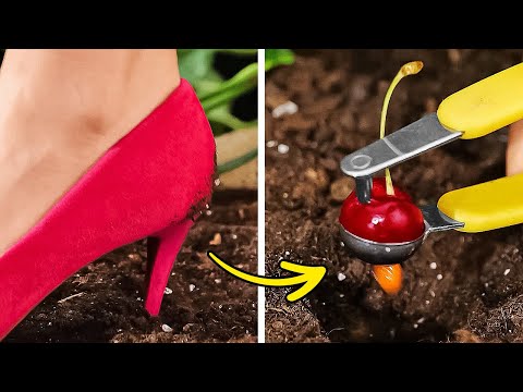 25 Weird Gardening Hacks That Actually Work!