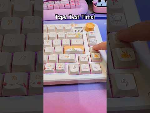 How Is This Keyboard So CREAMY?🍦 IQUNIX Little Prince